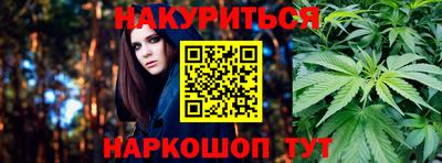 Альфа ПВП Малгобек