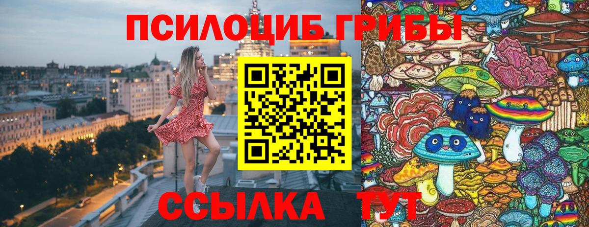 Буйнакск  Псилоцибиновые грибы Psilocybe  Вход с VPN 