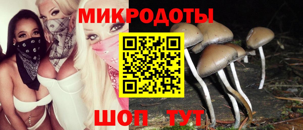 Галлюциногенные грибы ЛСД Буйнакск
